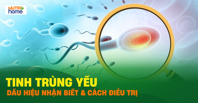 suy-buong-trung