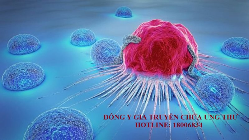 Đông y chữa ung thư